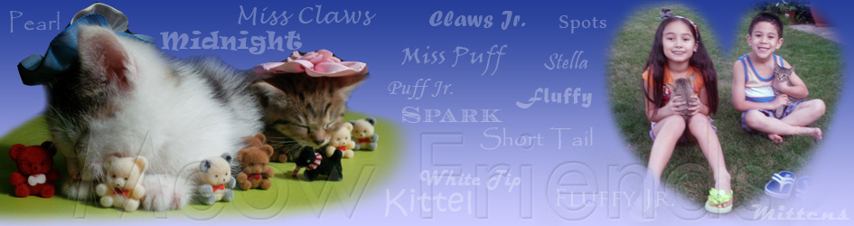 click to return to the home page